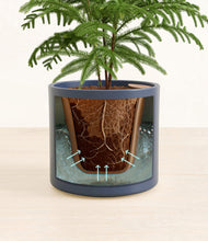 Load image into Gallery viewer, Deep Navy stand:all
