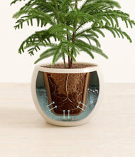 Load image into Gallery viewer, Shiny EggWhite stand:all
