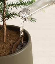 Load image into Gallery viewer, Olive stand:all
