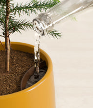 Load image into Gallery viewer, Mustard stand:all
