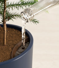 Load image into Gallery viewer, Deep Navy stand:all
