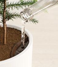 Load image into Gallery viewer, White stand:all
