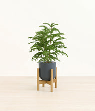 Load image into Gallery viewer, Iron Gray stand:bamboo

