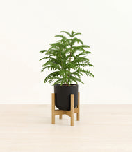 Load image into Gallery viewer, Stone Black stand:bamboo
