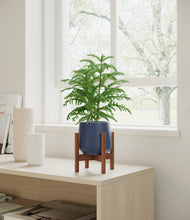 Load image into Gallery viewer, Deep Navy stand:walnut
