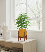 Load image into Gallery viewer, Mustard stand:walnut
