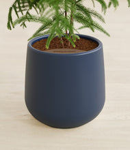 Load image into Gallery viewer, Deep Navy stand:all
