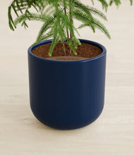 Load image into Gallery viewer, Twilight Blue stand:all
