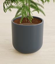 Load image into Gallery viewer, Iron Gray stand:all
