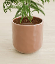 Load image into Gallery viewer, Hammered Peach Pink stand:all
