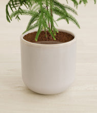 Load image into Gallery viewer, Snowdrift White stand:all
