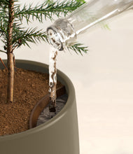 Load image into Gallery viewer, Olive stand:all
