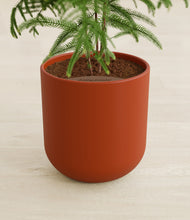 Load image into Gallery viewer, Earth Red stand:all
