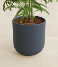 Load image into Gallery viewer, Iron Gray stand:all
