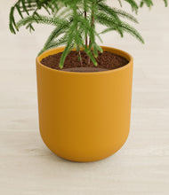 Load image into Gallery viewer, Sunset Orange stand:all
