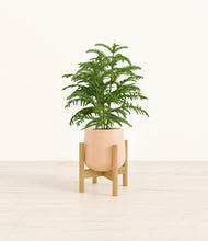 Load image into Gallery viewer, Gentle Pink stand:bamboo
