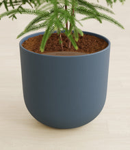 Load image into Gallery viewer, Iron Gray stand:all
