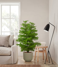 Load image into Gallery viewer, Sage Green
