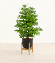 Load image into Gallery viewer, Stone Black stand:bamboo

