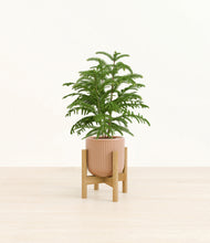 Load image into Gallery viewer, Striped Peach Pink stand:bamboo
