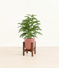 Load image into Gallery viewer, Hammered Rose Pink stand:walnut
