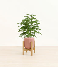 Load image into Gallery viewer, Striped Rose Pink stand:bamboo
