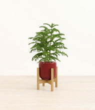 Load image into Gallery viewer, Striped Cherry Red stand:bamboo
