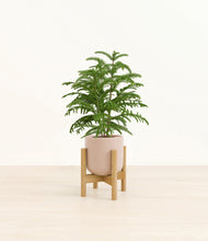 Load image into Gallery viewer, Sandy Pink stand:bamboo
