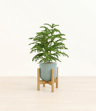 Load image into Gallery viewer, Reactive Aqua stand:bamboo
