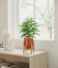Load image into Gallery viewer, Glossy Red stand:bamboo
