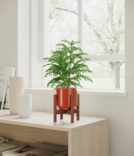 Load image into Gallery viewer, Glossy Red stand:walnut
