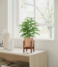 Load image into Gallery viewer, Glossy Pink stand:walnut
