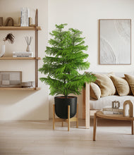 Load image into Gallery viewer, Stone Black stand:bamboo
