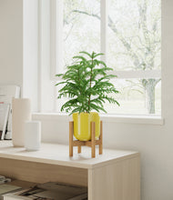 Load image into Gallery viewer, Key Lime Yellow stand:bamboo
