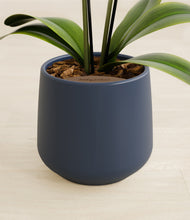 Load image into Gallery viewer, Deep Navy stand:all
