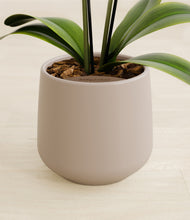 Load image into Gallery viewer, Eternal Gray stand:all
