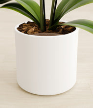 Load image into Gallery viewer, White stand:all
