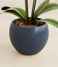 Load image into Gallery viewer, Deep Navy stand:all
