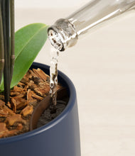 Load image into Gallery viewer, Deep Navy stand:all
