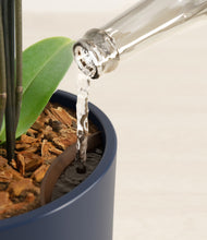 Load image into Gallery viewer, Deep Navy stand:all
