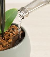 Load image into Gallery viewer, Deep Ocean stand:all
