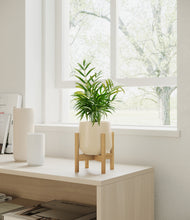 Load image into Gallery viewer, Almond Green stand:bamboo
