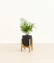 Load image into Gallery viewer, Stone Black stand:bamboo
