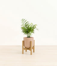 Load image into Gallery viewer, Glossy Pink stand:bamboo
