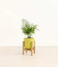 Load image into Gallery viewer, Key Lime Yellow stand:bamboo
