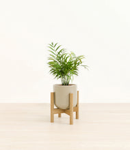 Load image into Gallery viewer, Sage Green stand:bamboo
