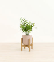 Load image into Gallery viewer, Sandy Pink stand:bamboo
