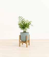 Load image into Gallery viewer, Reactive Aqua stand:bamboo
