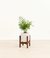 Load image into Gallery viewer, Cotton White stand:walnut
