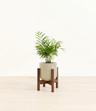 Load image into Gallery viewer, Sage Green stand:walnut
